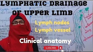 Lymphatic drainage of upper limb  clinical anatomy lymph nodesand vessel ayesha medical education [upl. by Edas]