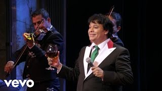 Juan Gabriel  Por Qué Me Haces Llorar En Vivo Desde Bellas Artes México 2013 [upl. by Jillie824]