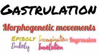 Gastrulation  Morphogenetic movements  Ingression  Involution  Epiboly  Delamination  Emboly [upl. by Doscher]