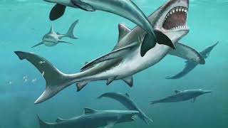 MEGALODON Tribute music by three days Greece [upl. by Yerffej]