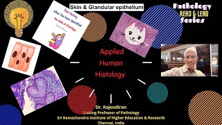 Applied human histology  Skin and glandular epithelium😍😍😍 [upl. by Namia]