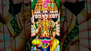 shortsvideo sami sami om muruga kumara senthura potri🦚🦚🦚🦚 [upl. by Einner127]