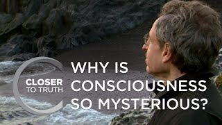 Why is Consciousness So Mysterious  Episode 103  Closer To Truth [upl. by Ahsotan]