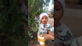 baby viral song new videos little baby baby funny videos baby new song viral song videos [upl. by Attenaej]