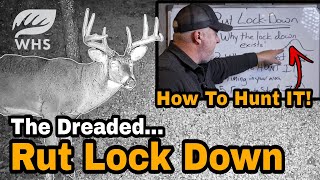 How To Hunt The Dreaded Rut Lock Down [upl. by Crandell614]