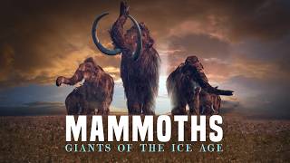 Surprising Truths About Mammoths From Ice Age To Cloning Dreams [upl. by Arakal485]