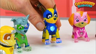 Paw Patrol Mighty Pups vs Romeo Wrong Color Video for Kids [upl. by Ellennad707]