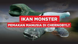 MENYELIDIKI KEBENARAN IKAN MONSTER DI RADIASI NUKLIR CHERNOBYL [upl. by Yorker]