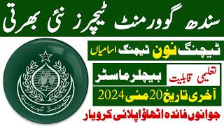 Sindh Goverment Teachers New Jobs 2024  Technical Job Info 10 [upl. by Kwan]