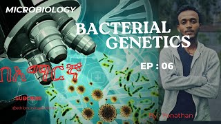 Microbiology Bacterial Genetics Ep06 [upl. by Rabjohn232]