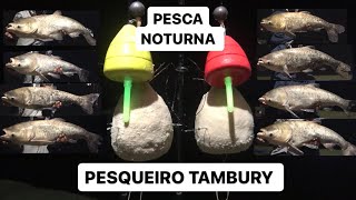 PESCARIA NOTURNA DE CARPAS CABEÇUDAS NO TAMBURY [upl. by Tobias]