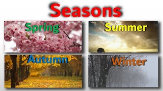 Seasons  Seasons of Change A Journey through Natures Phases [upl. by Ribble]