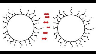 Yeast Flocculation An Overview [upl. by Ayamat]