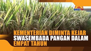 KEMENTERIAN DIMINTA KEJAR SWASEMBADA PANGAN DALAM EMPAT TAHUN [upl. by Gschu]