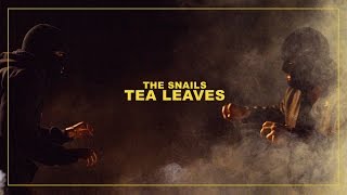 THE SNAILS quotTEA LEAVESquot MUSIC VIDEO [upl. by Inoue]