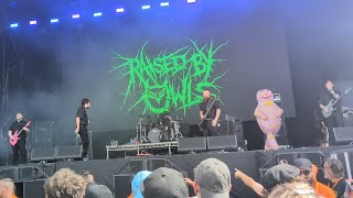 Raised By Owls  Break Stuff Limp Bizkit coverLive at Bloodstock 2024 [upl. by Tizes957]