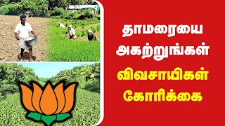 தாமரையை அகற்றுங்கள்… விவசாயிகள் கோரிக்கை MAYILADUTHURAI SEITHIGAL news [upl. by Erusaert]