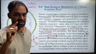 Morphology of Flowering Plants  Part 7  TB 2024 [upl. by Kcajyllib493]