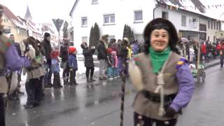 Narrentreffen Nendingen am 01022015 [upl. by Elata468]