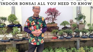 Indoor Bonsai All You Need To Know [upl. by Ber977]