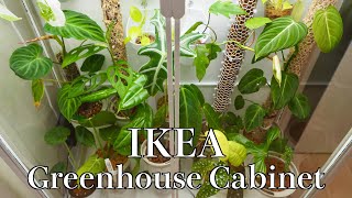 【PLANT TOUR】IKEAのキャビネットで熱帯植物を育てる｜簡易温室【Greenhouse Cabinet】 [upl. by Bernice]