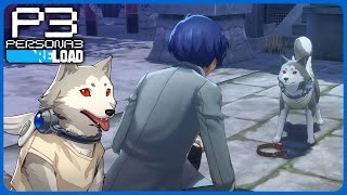 Full Koromaru Linked Episode  Persona 3 Reload [upl. by Schoening]