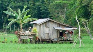 BUHAY BUKIDSA WAKAS TAPOS NA ANG KUBOKAINAN SA BUKIDrural lifefarruko [upl. by Wolsniw675]