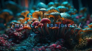 Kevin De Vries ◽ Tale of Us ◽ Mathame ◽ Massano ◽ Animum ◽ Monolink ◽ Melodic Techno Mix [upl. by Adnohr]