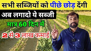 मात्र 60 दिन में होगी 2 से 3 लाख की कमाई अब लगादो यह सब्जी फसल  Ageti Sabjiyon Ki Kheti [upl. by Melinde220]