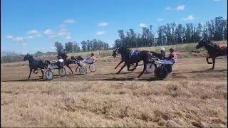 3er CARRERA HIPÓDROMO DE CHIVILCOY  250824  AS SUNFLOWER  1500 mtrs [upl. by Htilil]