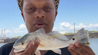 Catching reds specks and hard heads [upl. by Quillan]