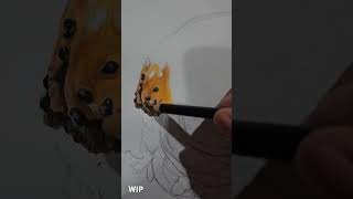 The color pencil drawing process WIP art realistic music chill [upl. by Eladal]