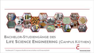 Biotechnologie Lebensmitteltechnologie Pharmatechnik amp Verfahrenstechnik I Hochschule Anhalt [upl. by Alana]