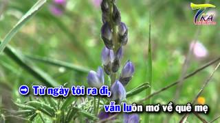 TKaraoke HD 03  Minh Tri  Ngot Ngao Que Me [upl. by Jonina]