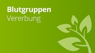 Blutgruppen AB0 und Rhesusfaktor und ihre Vererbung  Biologie  Genetik und Entwicklungsbiologie [upl. by Frager41]