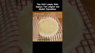 Tips Kulit Lumpia Beku Supaya Tidak Lengket dan Mudah Dipisahkan [upl. by Stevana]