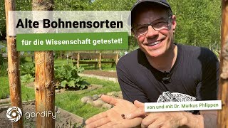 Alte Sorten Stangenbohnen und Buschbohnen für die Wissenschaft getestet 🔬 Citizen ScienceINCREASE [upl. by Percy]