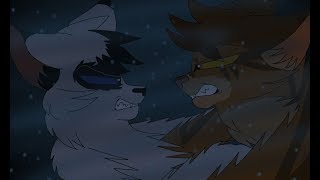 Onestar and Darktail PMV Against the Tide SHATTERED SKY SPOILERS [upl. by Evers265]