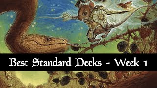 Best Standard Decks  Meta Review  August 2024  Bloomburrow  Week 1  MTG Arena [upl. by Lust221]