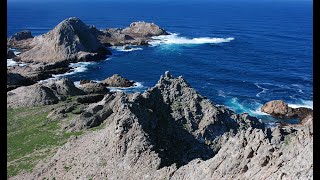 Farallon Islands Live Webcam  California Academy of Sciences [upl. by Mireielle]