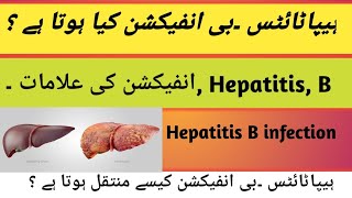 Hepatitis B infection kia hota Hy  Hepatitis B infection ki Aalamaath kia hy  transmission [upl. by Shela]