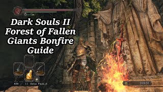 Forest of Fallen Giants  All Bonfire Locations  Dark Souls II [upl. by Cirone104]