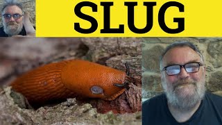 🔵 Slug Meaning  Slug It Out Examples  Define Slug  Slug Explaines  Slang English [upl. by Aicil]