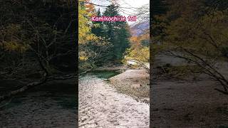 Visit japan kamikochi fall japanlife 川 riverside nature 自然 秋 fallcolor fallvibes 🍁 [upl. by Ahusoj]