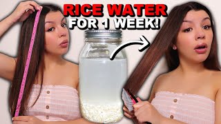 7 DAYS OF RICE WATER FOR HAIR GROWTH  BEFORE AND AFTER RESULTS [upl. by Enyahs]