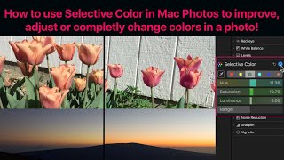 Mac Photos App Tutorial How to use Selective Color to improve adjust or completely change colors [upl. by Jaynes818]