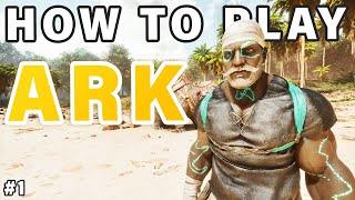 How to Play Ark LEVEL 110  Island Map  Beginner Guide 1 [upl. by Llerrahs]