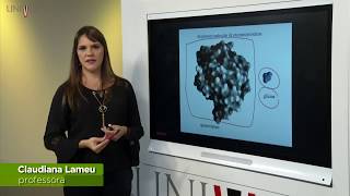 Genética e Biologia Molecular  Aula 05  Transcrição e Tradução uma revisão [upl. by Holland]