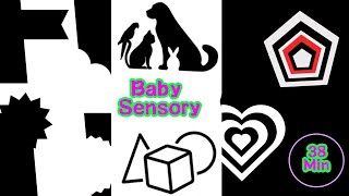 Baby Sensory Black and White [upl. by Hulburt794]