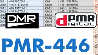 DPMR 446 [upl. by Eehsar977]